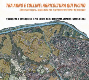 tra-arno-e-colline